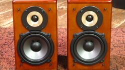 sx-ex7