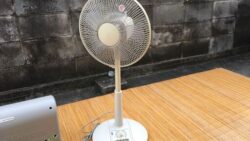SX-CX30L 扇風機